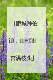 肥城孙伯镇：山村油杏满枝头